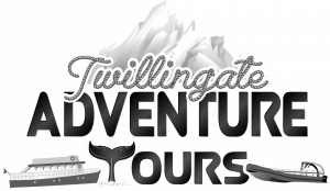 Twillingate Adventure Tours